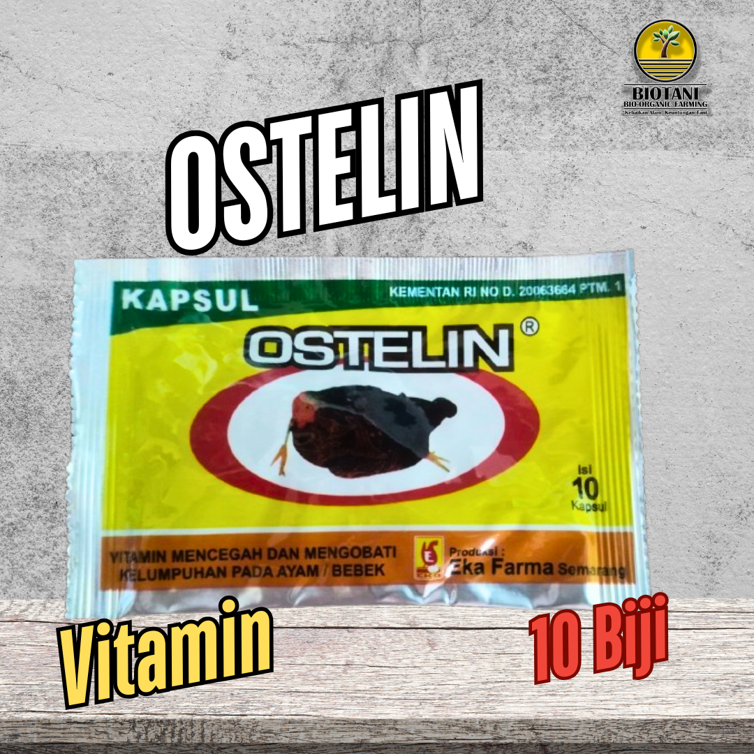 Ostelin